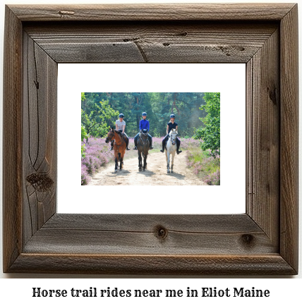 horse trail rides near me in Eliot, Maine